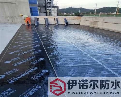 江蘇蘇州屋面防水